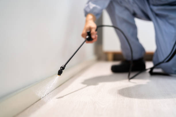 Certified termite inspector examining foundation in Roland