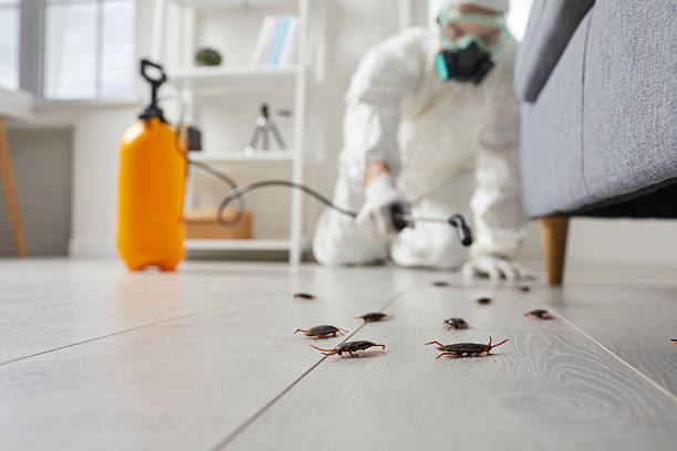 Post-Treatment Bed Bug Interceptor Monitoring in Roland